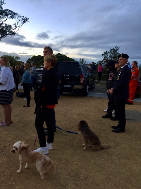 The Dogs and the General