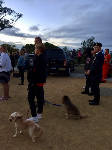 The Dogs and the General